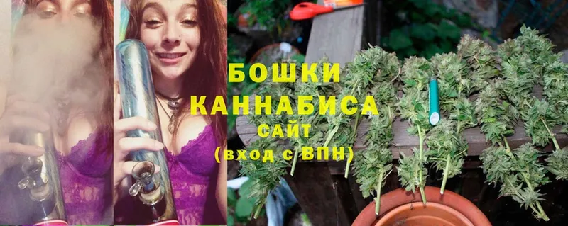 закладка  Поворино  Марихуана Ganja 